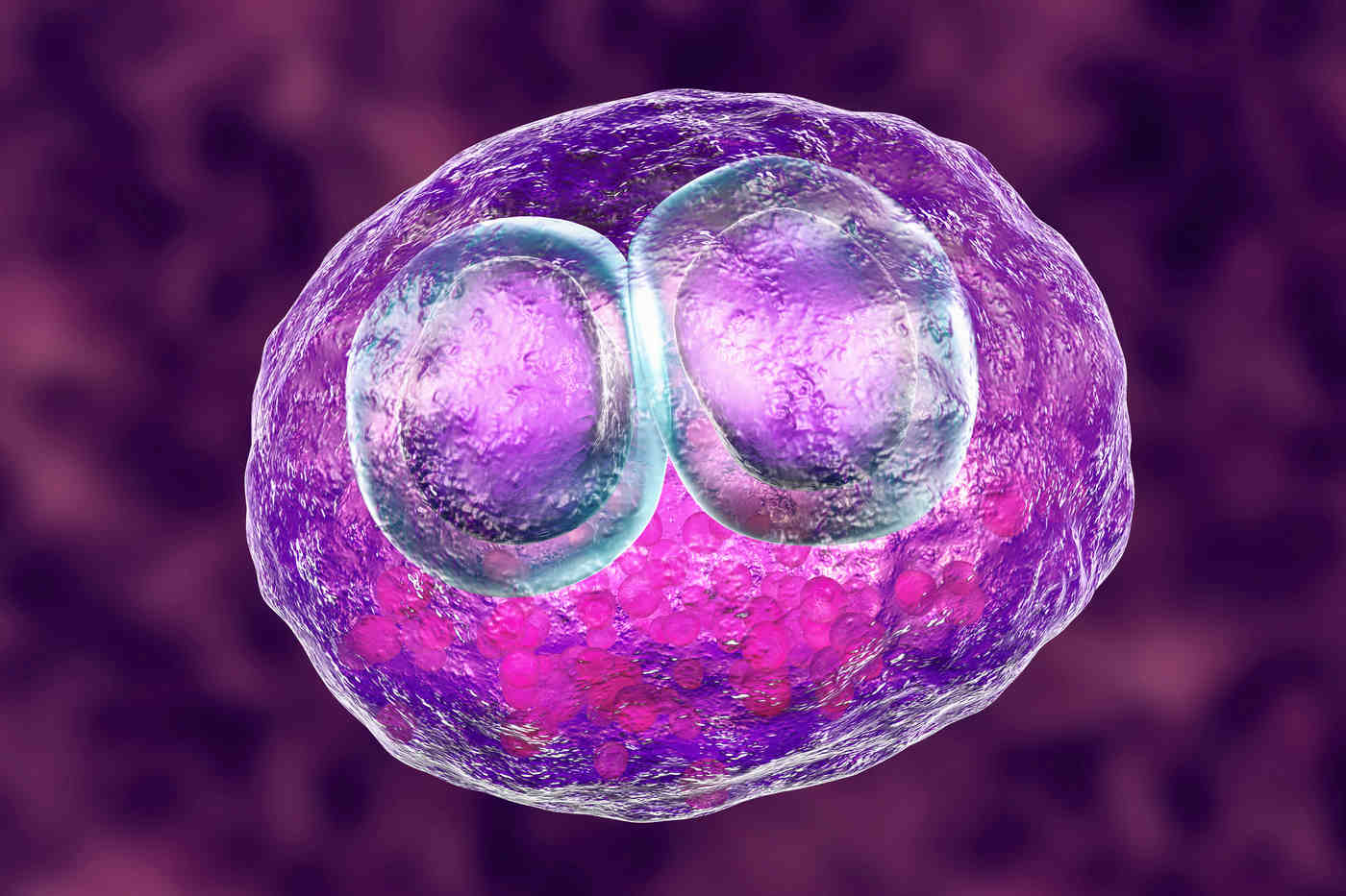 Citomegalovirus (CMV) ce este, simptome, diagnostic și complicații